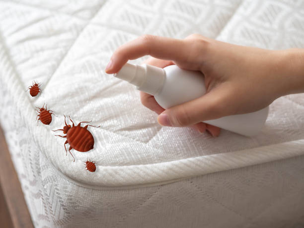 Best Residential Pest Control  in Elk Mound, WI